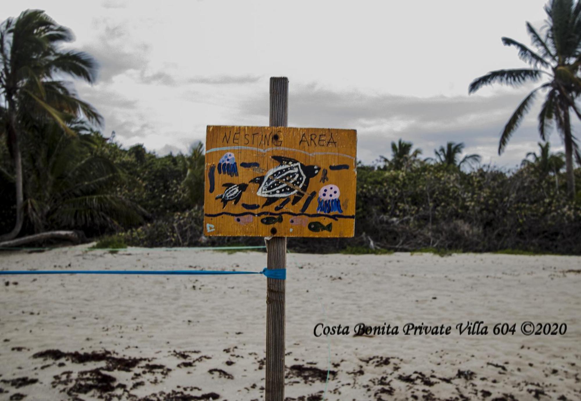 Costa Bonita Private Villa 604 Isla Culebra Extérieur photo